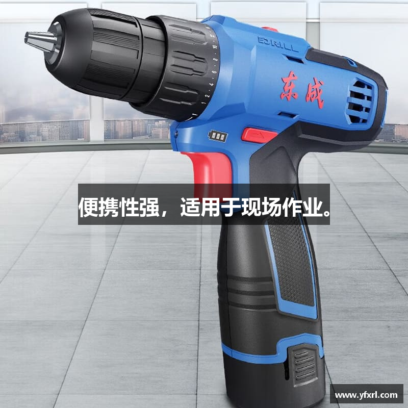 便携性强，适用于现场作业。